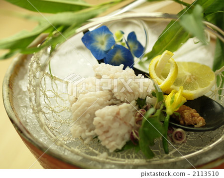 fish with white meat, white fish, pike conger 2113510