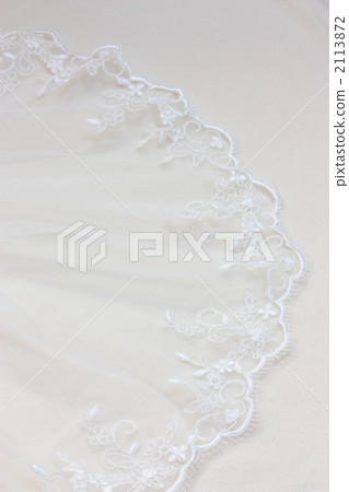 Mary's veil up (wedding image) 2113872