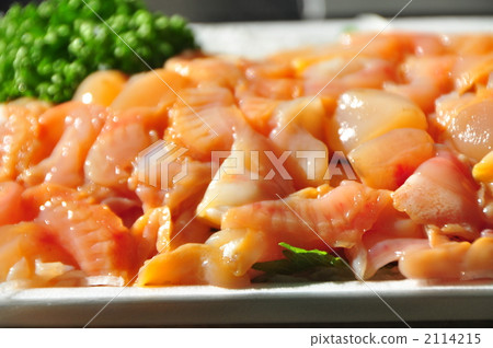 red clam, ark shell, Adductor Muscle 2114215