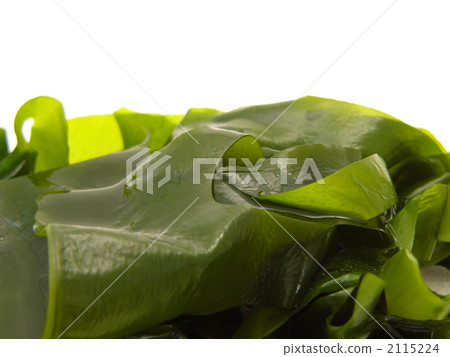 Wakame seaweed from Iwate Prefecture (up) Wakame seaweed from Iwate Prefecture (up) 2115224