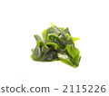 來自岩手縣的裙帶菜海藻（白背） 2115226