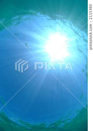 Sun Sun 2115360