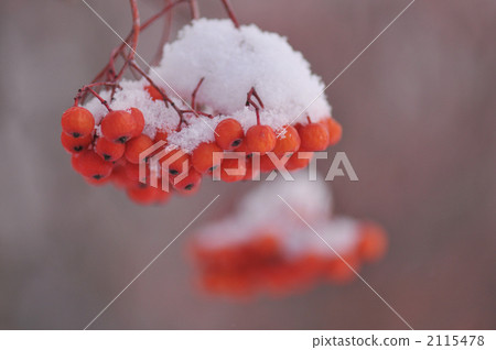 Nanakamad horizontal position 2115478