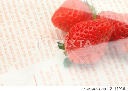 草莓 2115916