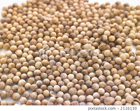 香菜 香菜 2116130