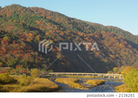 秋葉的Arashiyama 2116281