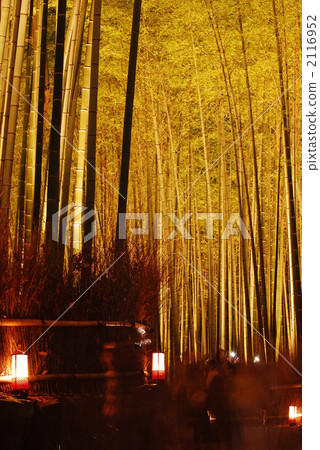 Kyoto Arashiyama Flower Light Road Kyoto Arashiyama Flower Light Road 2116952