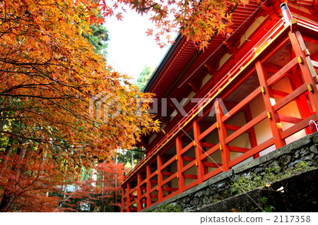 Hieiyama Enryakuji Yokogawa Nakado的秋葉 2117358