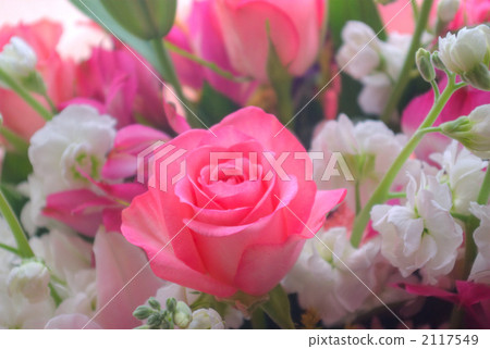 Bouquet (Up) 4 Bouquet (Up) 4 2117549