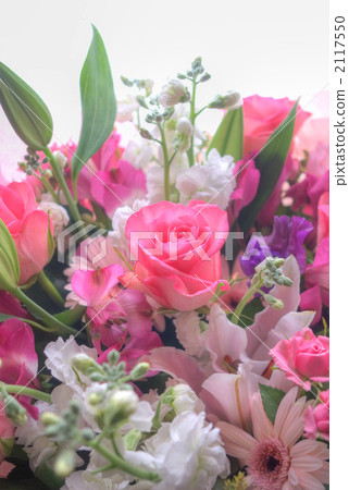 Bouquet (Up) 5 Bouquet (Up) 5 2117550
