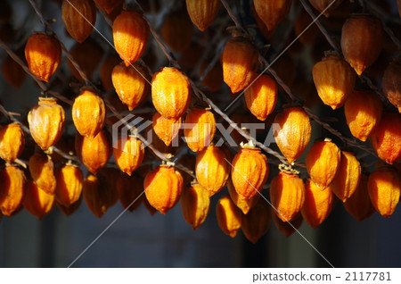 Scenery making dried persimmon 2117781
