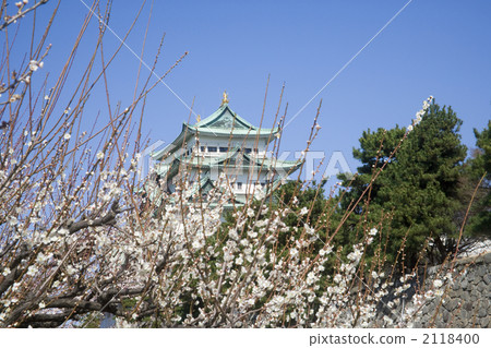 Plum and Nagoya Castle Plum and Nagoya Castle 2118400