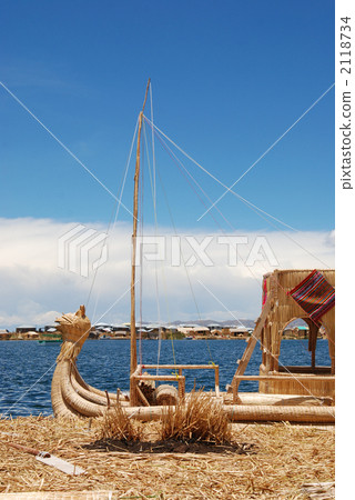 提提喀喀湖 多多拉 水蔥 2118734