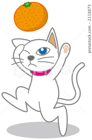 Cat dancing with oranges 2118873