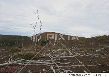 Hawaii island dying 2119112