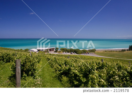 釀酒廠 萬里無雲 晴朗 2119578