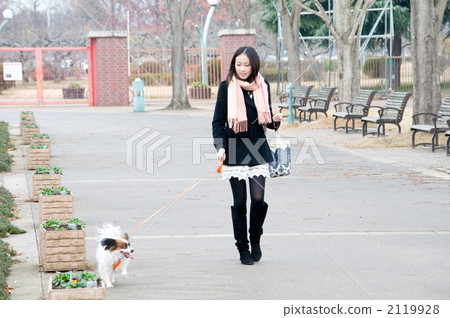 walk, walks, a walk 2119928