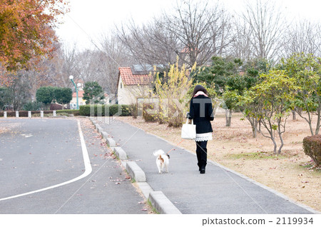 walk, walking, walks 2119934