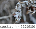 Winter Crystal 2120380