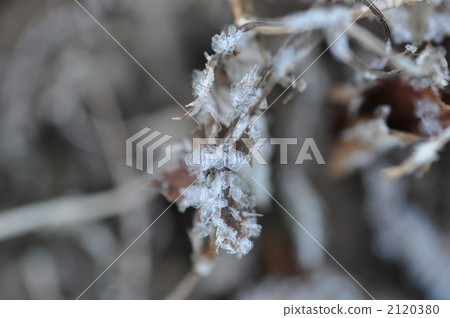Winter Crystal 2120380
