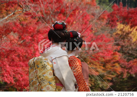 人 人物 人類 2120756