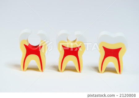 肌肉牙齒進展 2120808