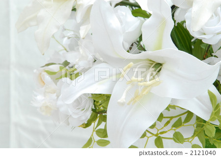 百合 百合花 莉莉 2121040