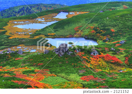 Flat view of swamp seen from cannabis 2121152