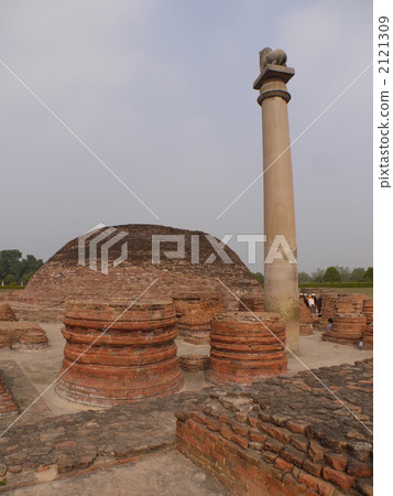 India · Biali India · Biali 2121309