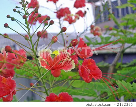 Fishbowl Fishbowl 2122355