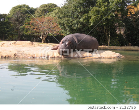 A nap with a nap A nap with a nap 2122786