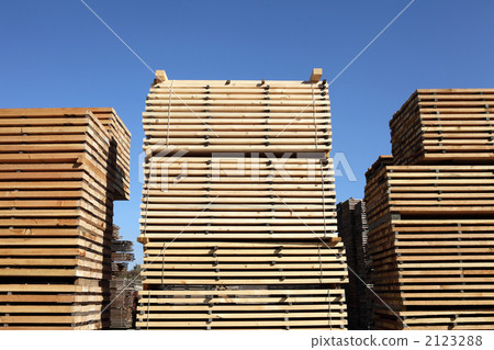 伐木場 伐木場 2123288