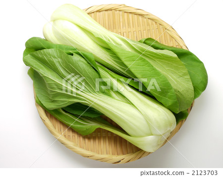 白菜 2123703