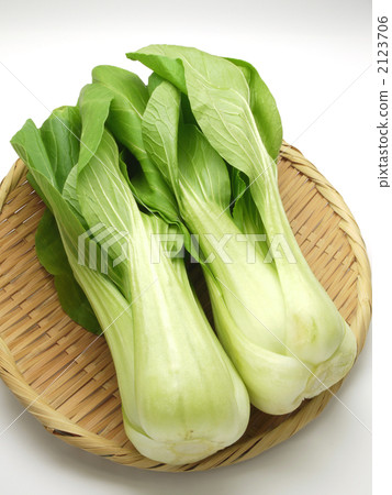 雞肉 雞肉 2123706