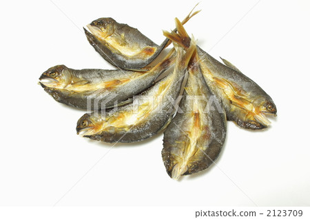 Ayu的hiraki Ayu的hiraki 2123709