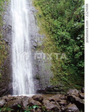 Manoa Falls Manoa Falls 2124086