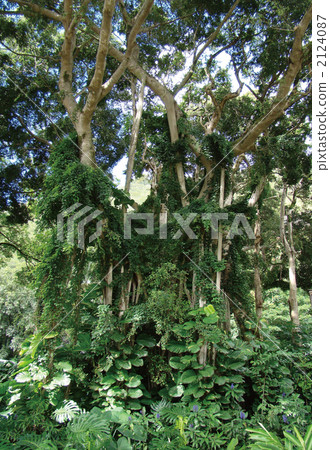 Waiority Room 2124087