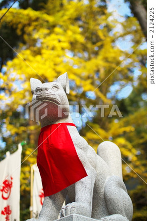 一隻狐狸 2124225
