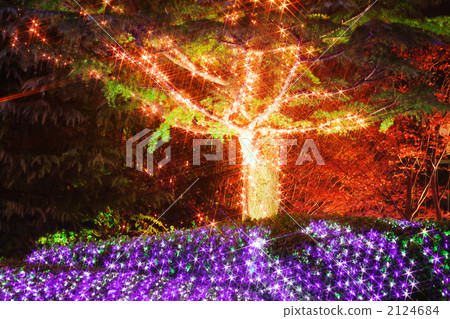 Light tree 2124684
