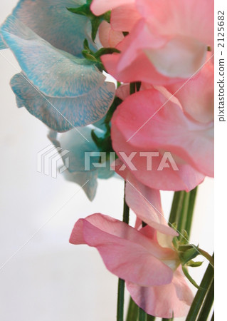 蒼白 花道 插花 2125682