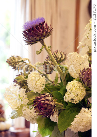 Artichoke and hydrangea Artichoke and hydrangea 2127170