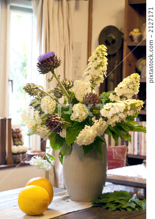 Artichoke and hydrangea 2127171