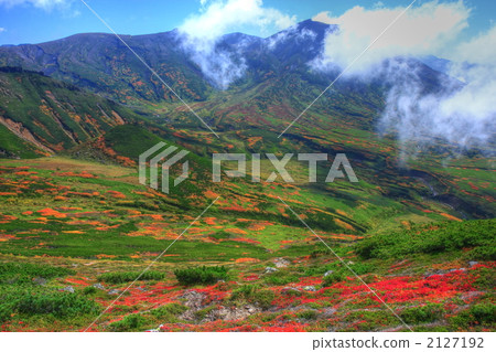 The best view of autumn seen from Mt. 2127192
