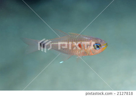 Sumitsuki Ato Hijikidai Sumitsuki Ato Hijikidai 2127818