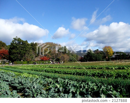Arashiyama Rakugakuin 2127888