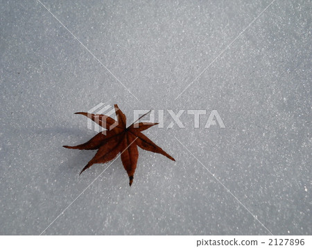Autumn leaves falling on snow Autumn leaves falling on snow 2127896