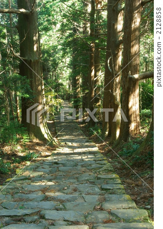 Northern Kumano Kodo 2128858