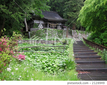 otaki spring, yatsugatake southern foot plateau spring group, selected 100 exquisite and well conserved waters 2128949