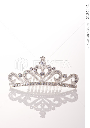 頭髮裝飾 2129441