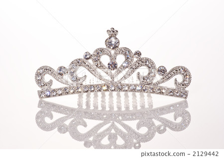 hair ornaments  2129442
